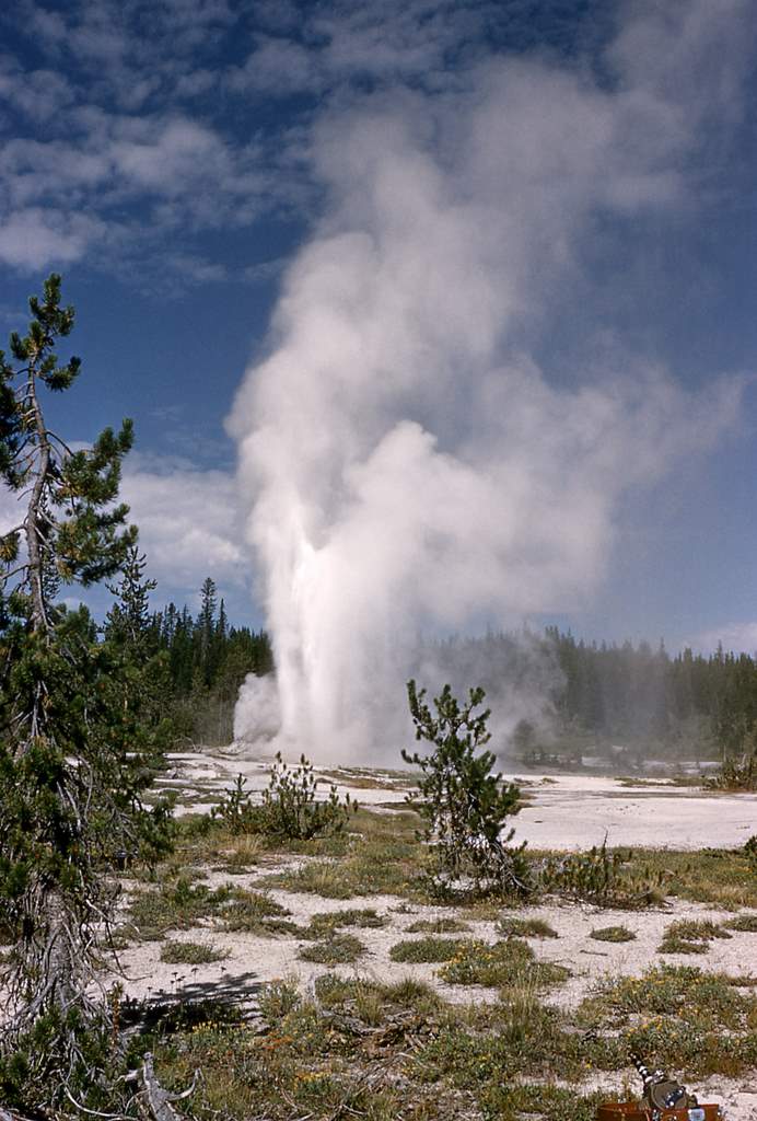 Old Faithful Yellowstone