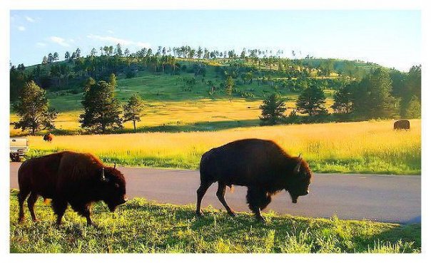 Black Hills South Dakota