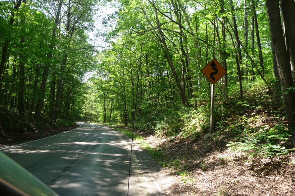 Tunnel of Trees