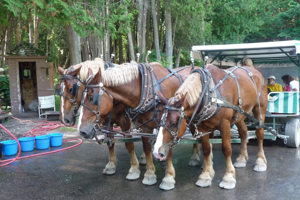 Mackinac Island Carriage Tours