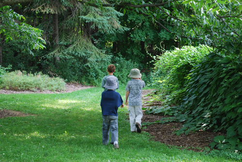 DSC_0434 Garden path w