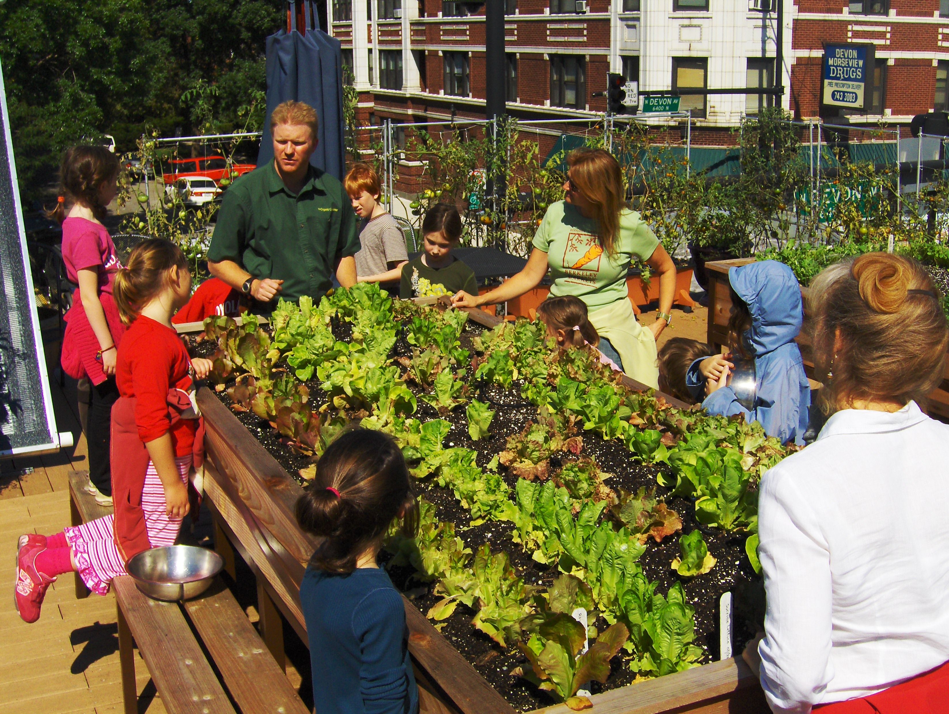 Ground Urban Farming and Family Dining in Chicago