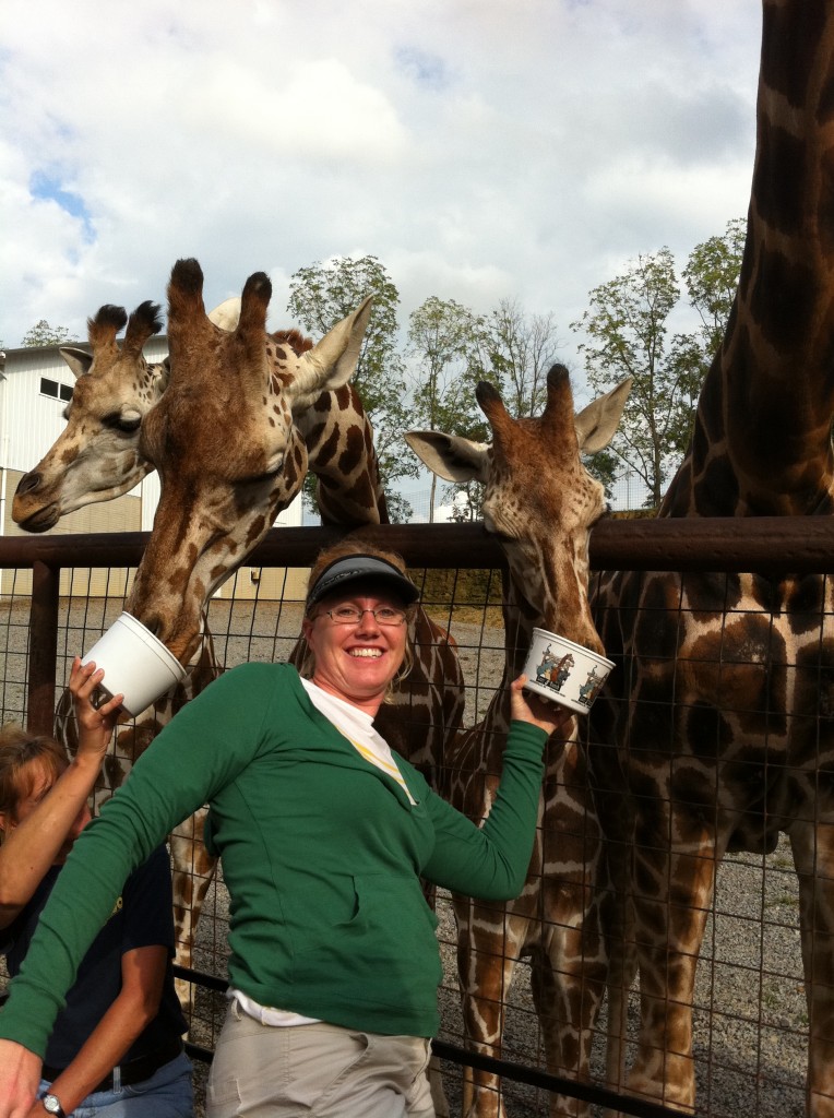 Feeding the Giraffe