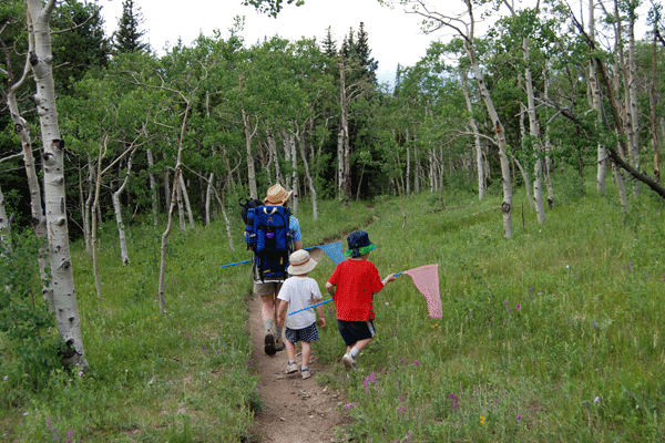 Bring along nets and turn a hike into a butterfly safari. 