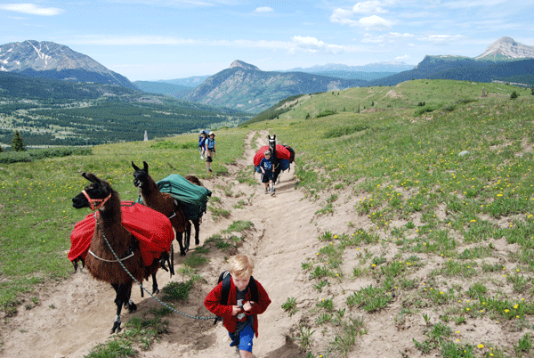 Don’t tell the kids you’re going on a hike: Say, “We’re just taking the llamas for a walk.” (The author and her kids on a backpacking trip.)