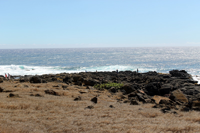 Ocean View at South Point