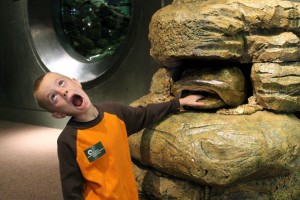 Noodling at Mississippi River Museum