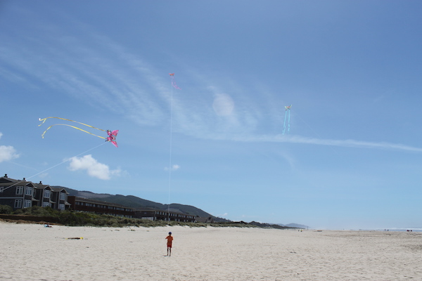 Kites on Beach