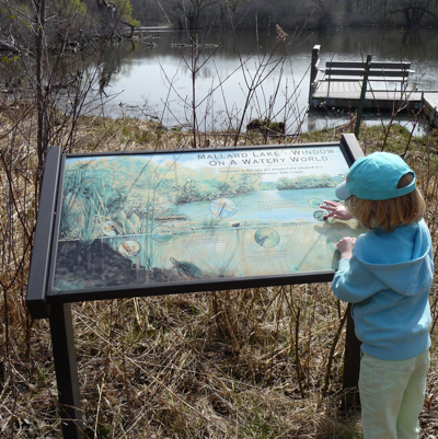 Pond Exploration at Wehr Nature Center