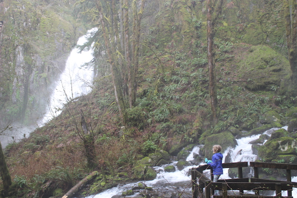 North Fork Falls