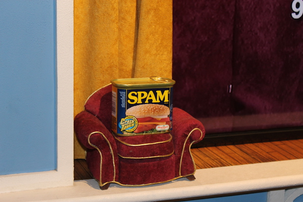 spam on couch