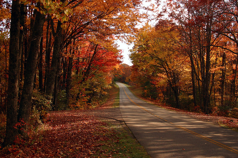 The Blue Ridge Parkway