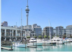 auckland-harbour