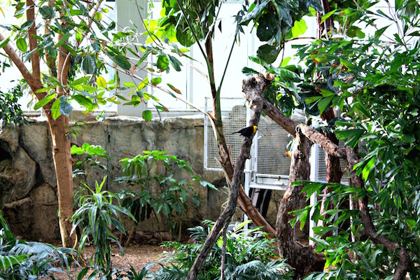 National Aviary