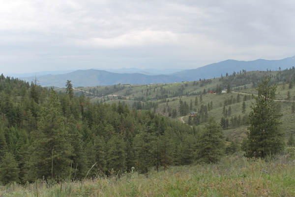 View From Echo Ridge