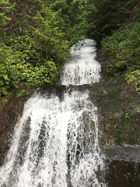 Parker Creek Falls Mary's Peak Drive