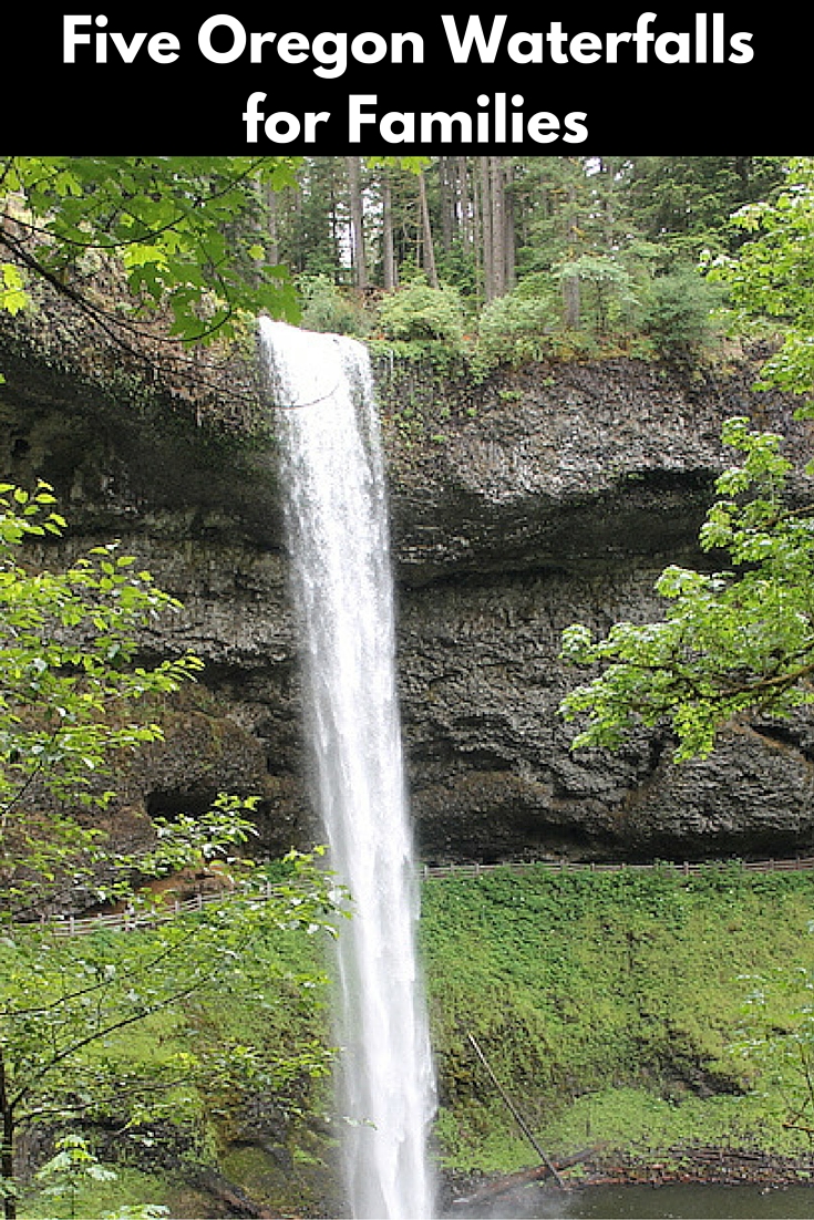 Waterfalls Pin
