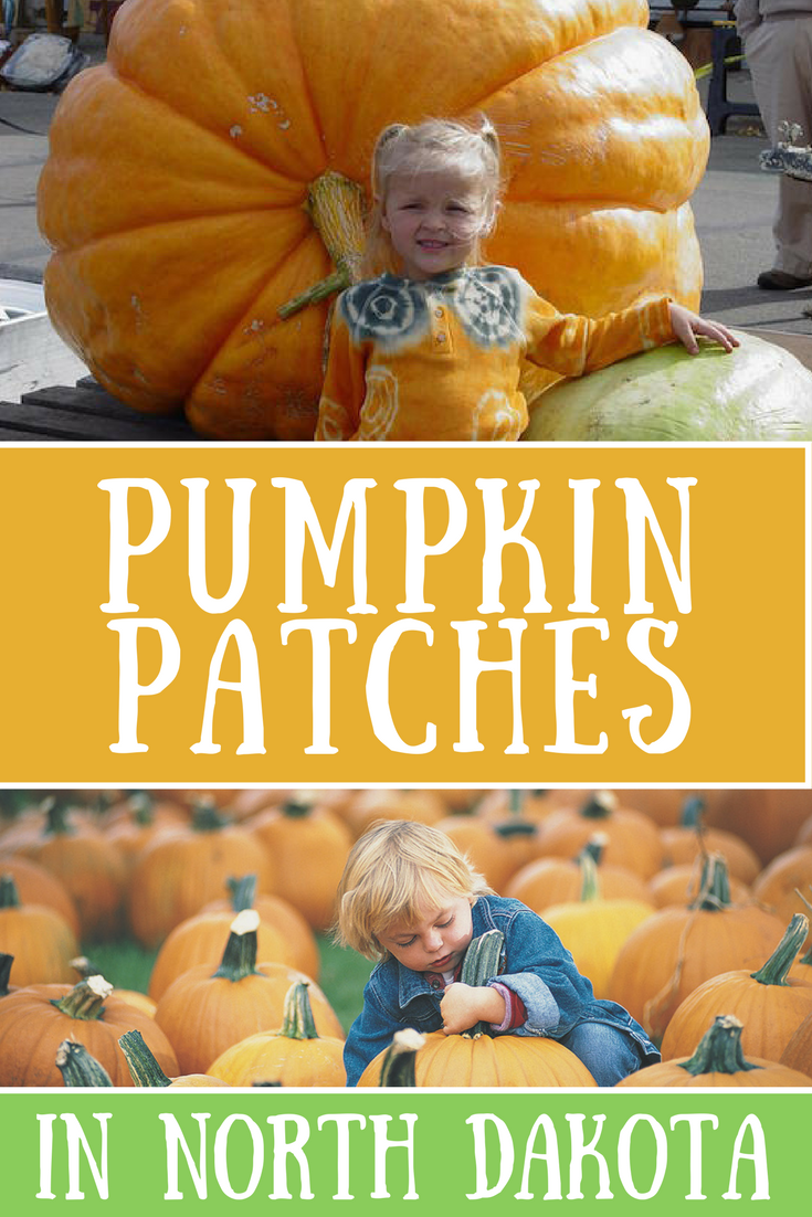 pumpkin patches nd