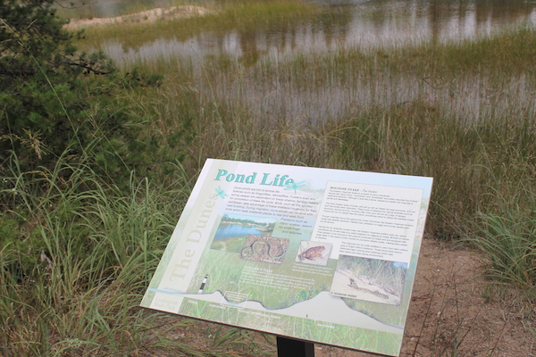 interpretive-sign-luddington-state-park