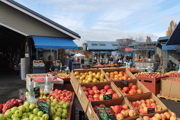 10 Activities for Families in Olympia, Washington Olympia Farmers Market