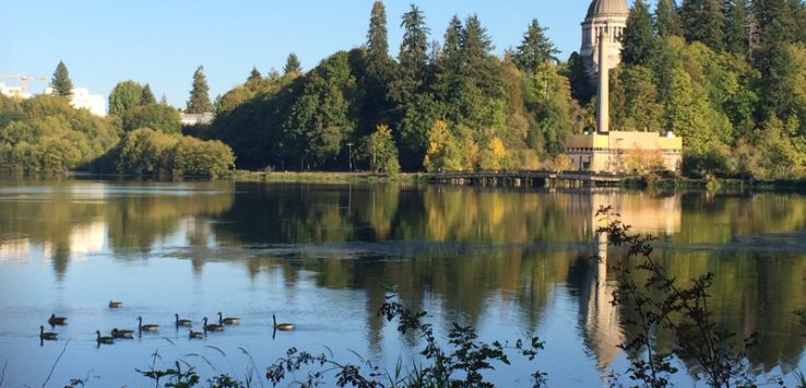 Olympia Washington Tom Keating