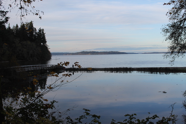 10 Activities for Families in Olympia, Washington Tolmie State Park