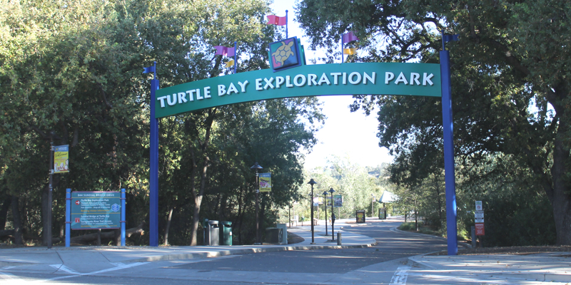 Visiting The Turtle Bay Exploration Park In Redding Ca Road