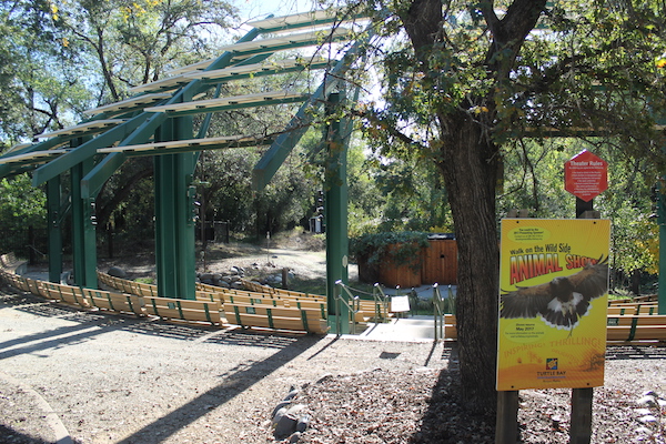 wildlife-woods-amphitheater