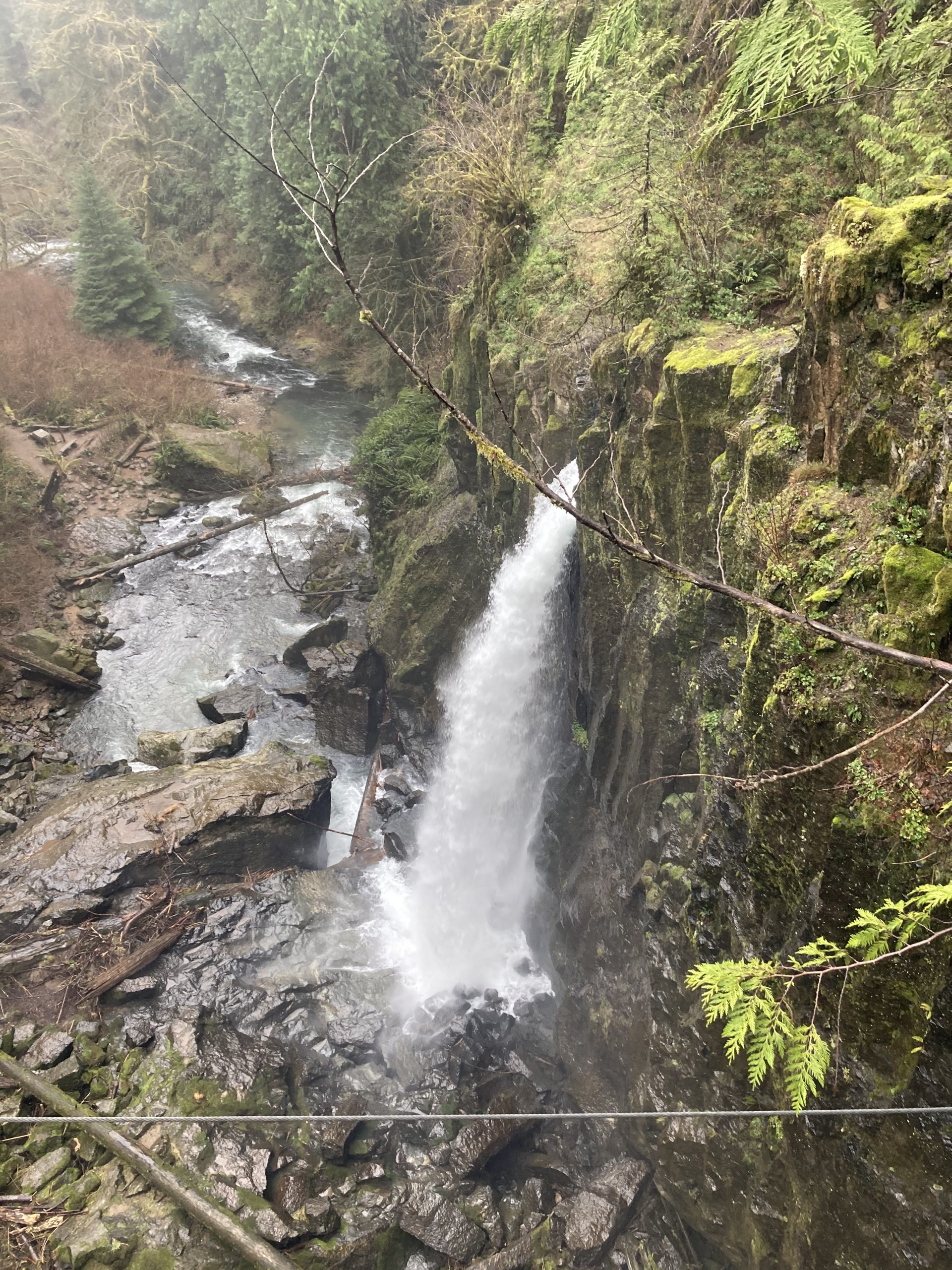 Drift Creek Falls