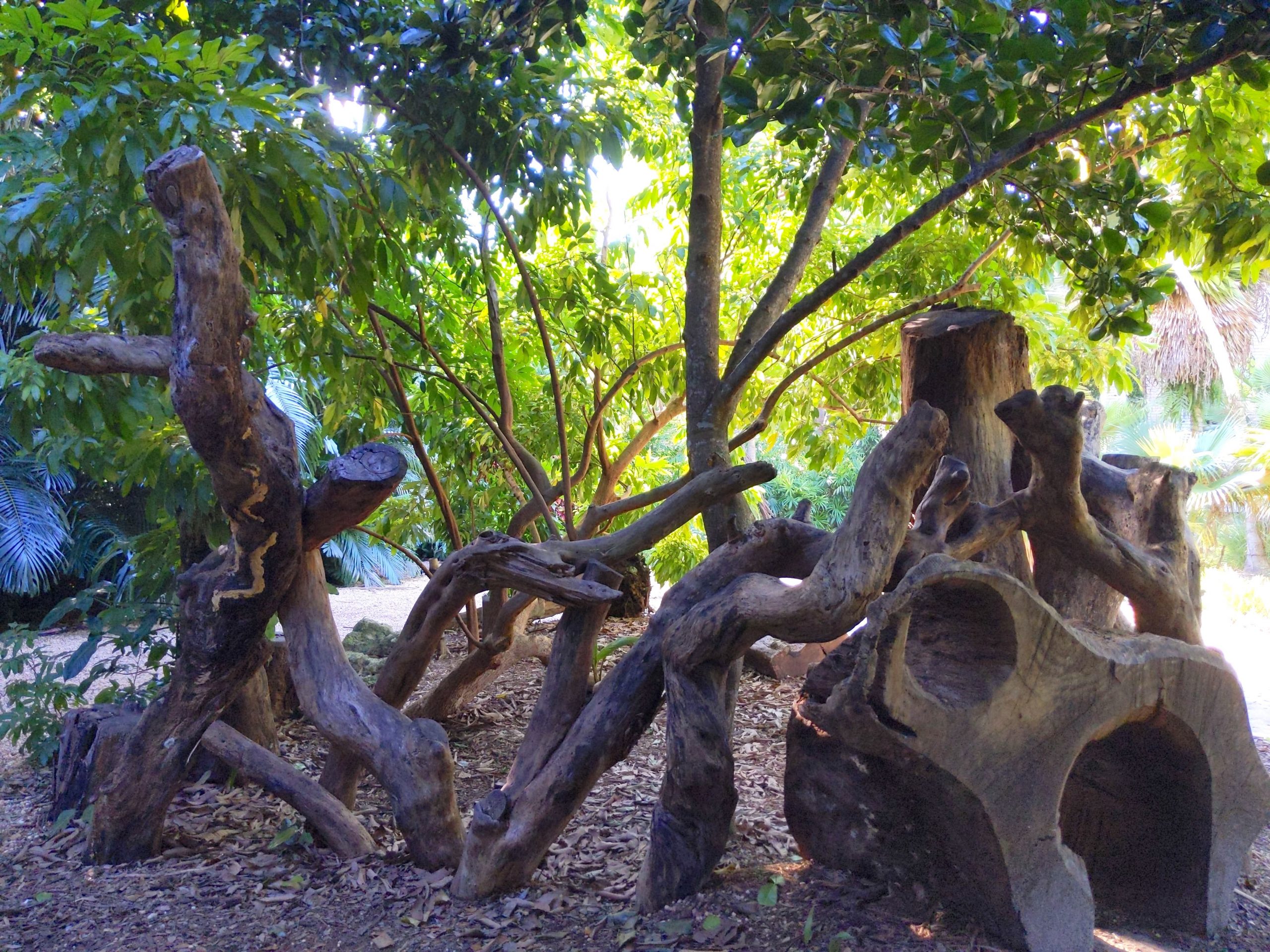 Part of the Children's Garden at Fairchild Tropical Botanical Garden