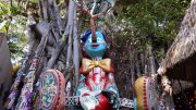 The Wishtree in Upper Buena Vista in Florida.