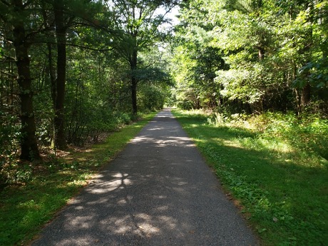 There are a variety of trails for your hike at Hartman Creek State Park. Photo by Leia Cullen