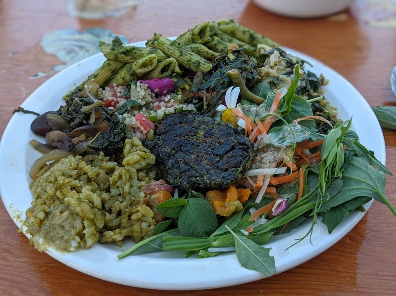 Plate full of wild foraged foods