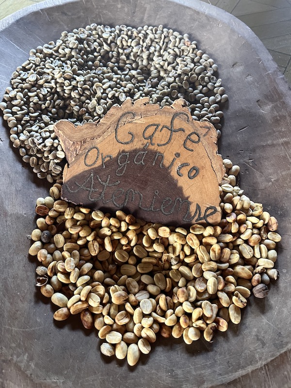 coffee beans