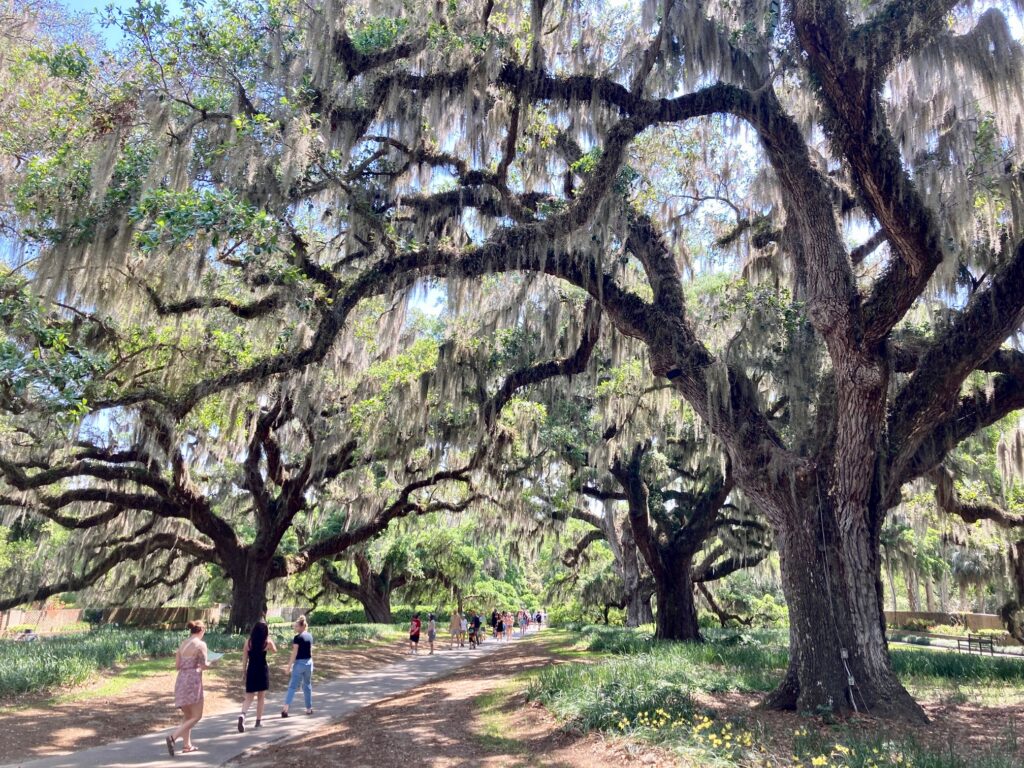 Brookgreen Gardens