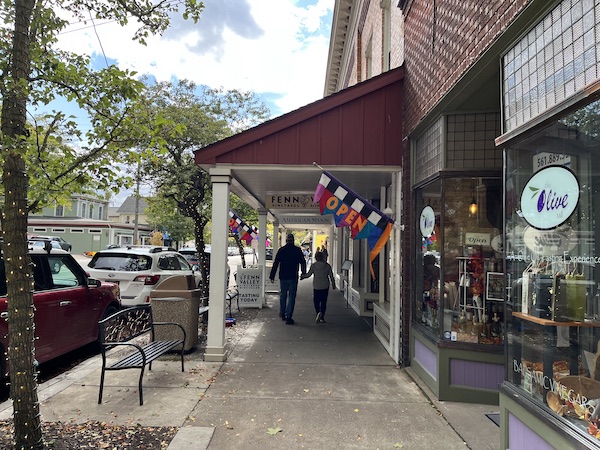 quaint shops in downtown Saugatuck, Michigan