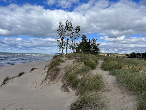 Oval beach saugatuck