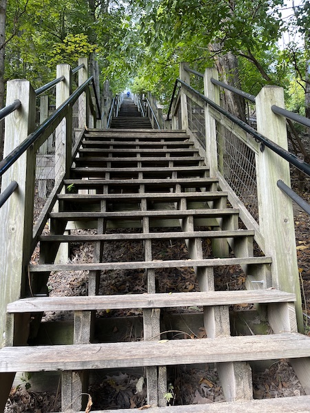 wooden staircase at Mount Baldhead Park