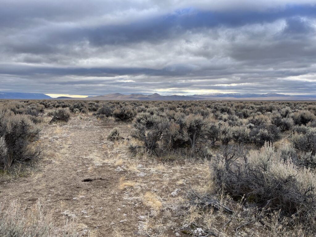 sagebrush and mountains in Oregon's rabbit basin