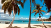 Caribbean
