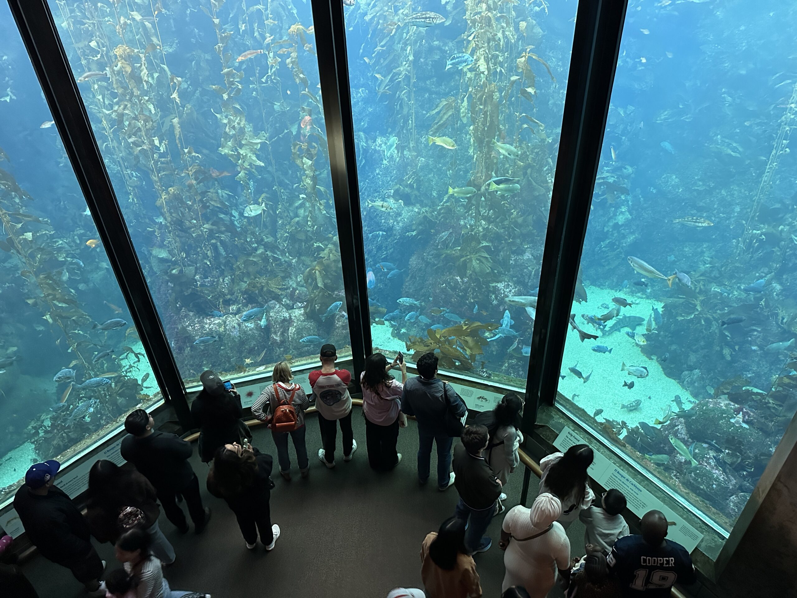 The Best Things to Do with Kids in Monterey, California